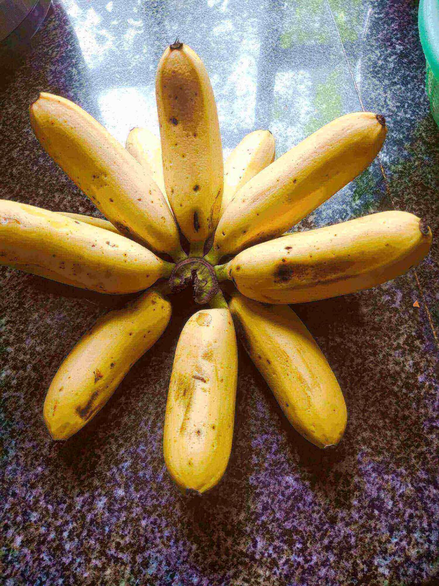 Banana noun 1