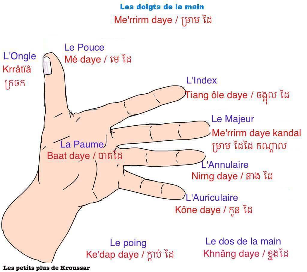 Doigts de la main 1